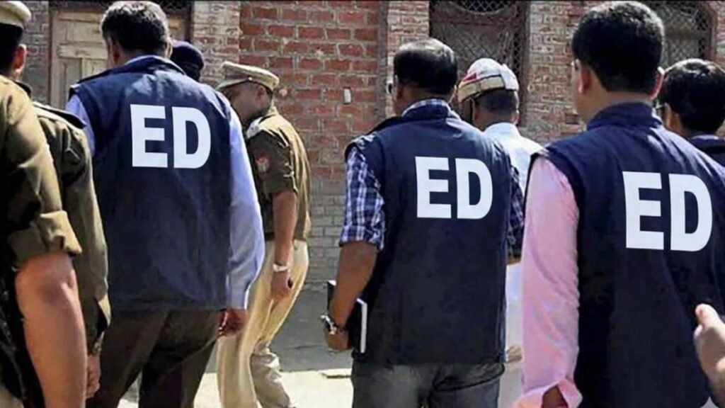 ed ed ed